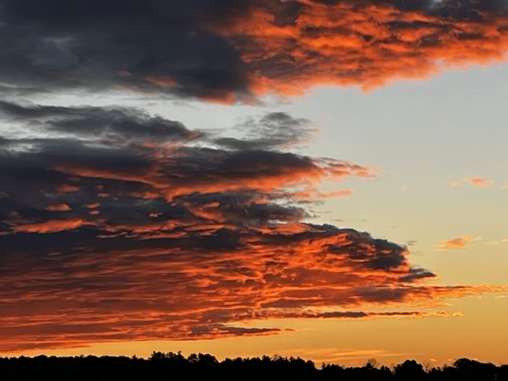 Orange/red clouds at sunrise, the view east out of my home office.