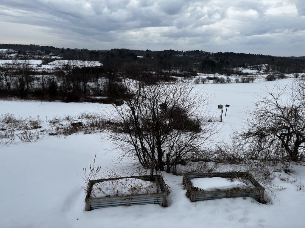 Snowy winter fields from my home office window.